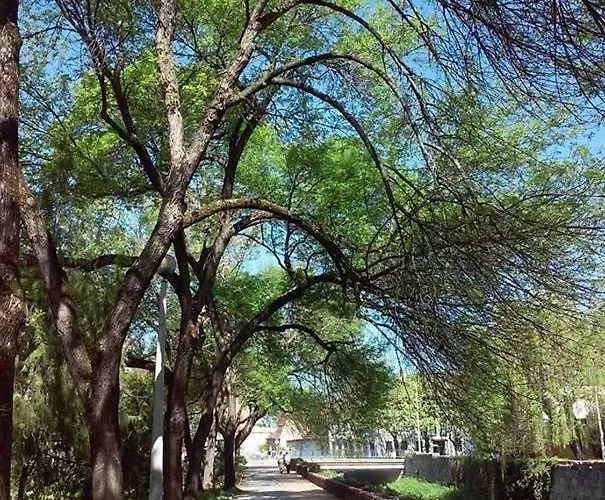 Zoeld Sziget Apartmanlakas Apartament *